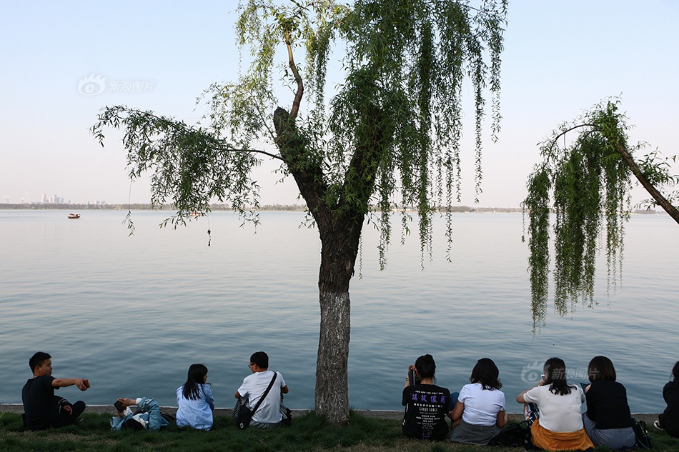国产一级婬片A片久久久花开诺