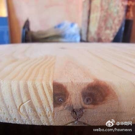 足迹直播APP