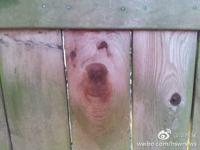 欧美臀交