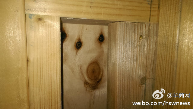 撸撸射