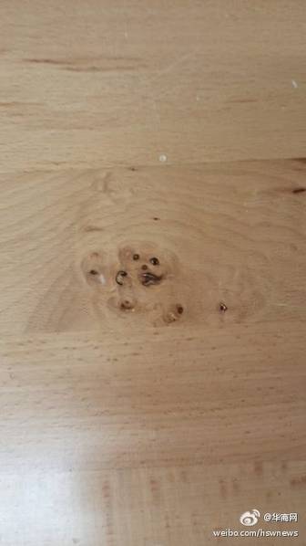 欧美性生活一级片