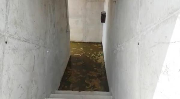 色欲av伊人久久大香线蕉影院