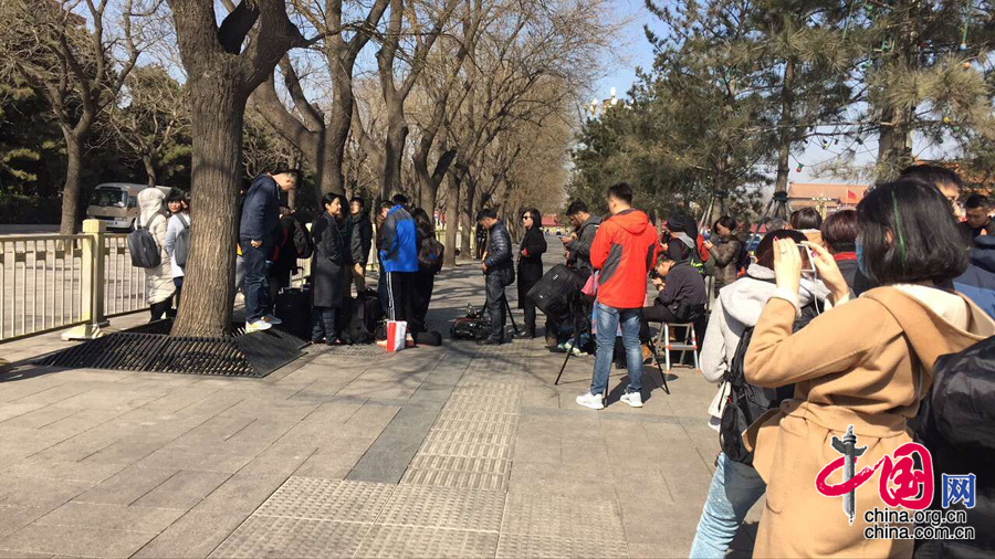 911爆料八卦有理吃瓜无罪在线观看视频