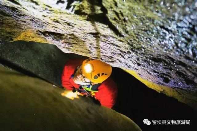 杏仁直播