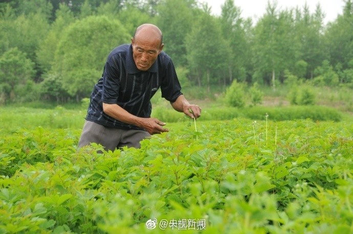 Hd—欧美处女性爱视频