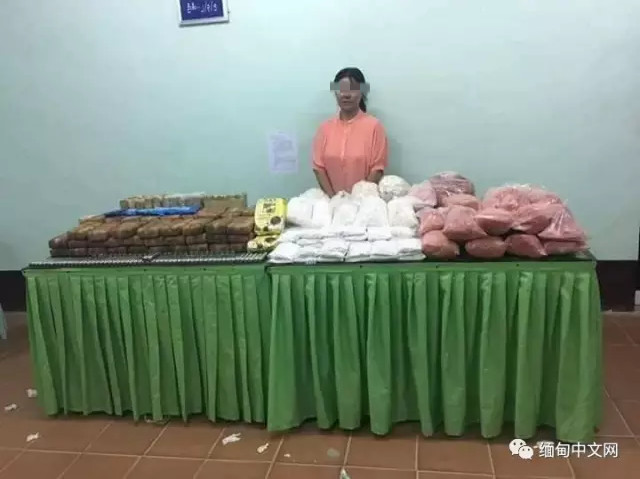 正规成人 啪啪动漫