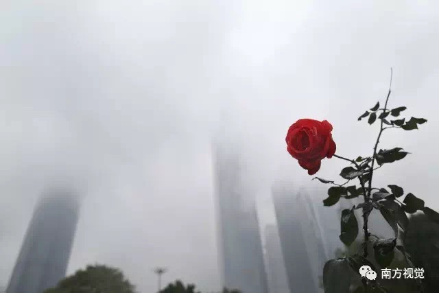 一级毛毛片