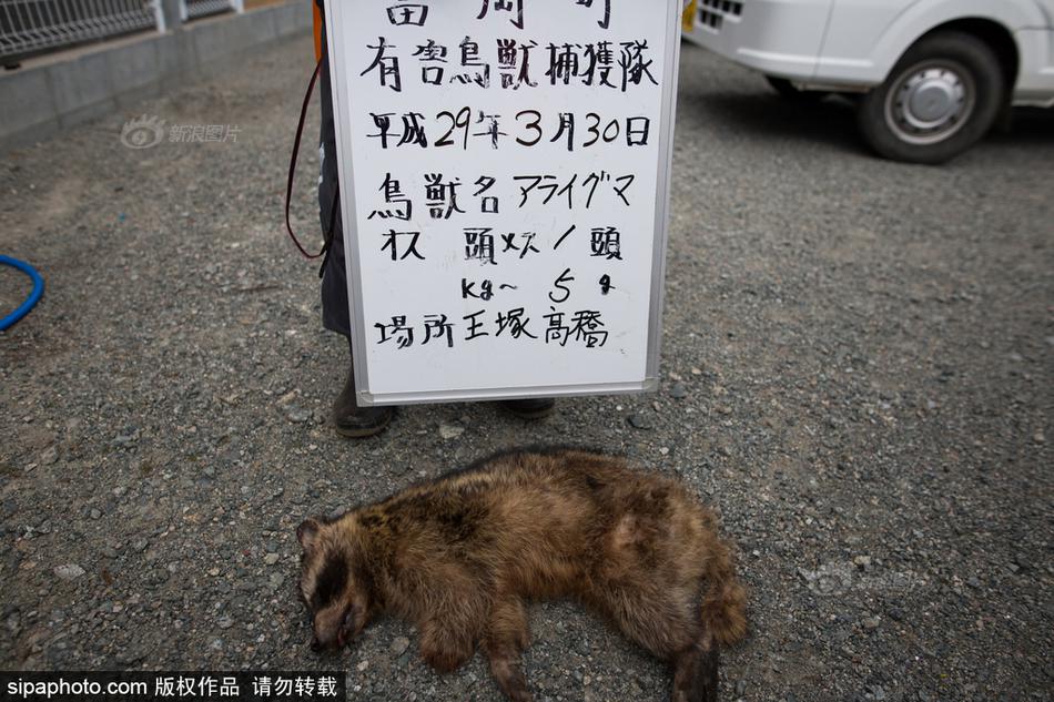 国内9l 自拍九色啦视频