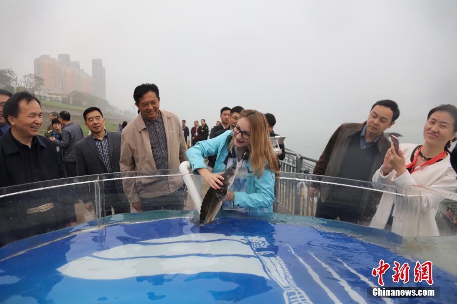 打屁股 网站脱裤子打屁股