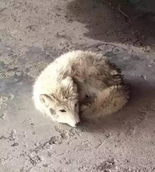 在線 觀看 成人