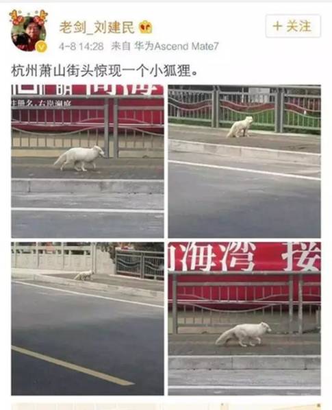 他扒开我内裤强吻尿口吃乳液