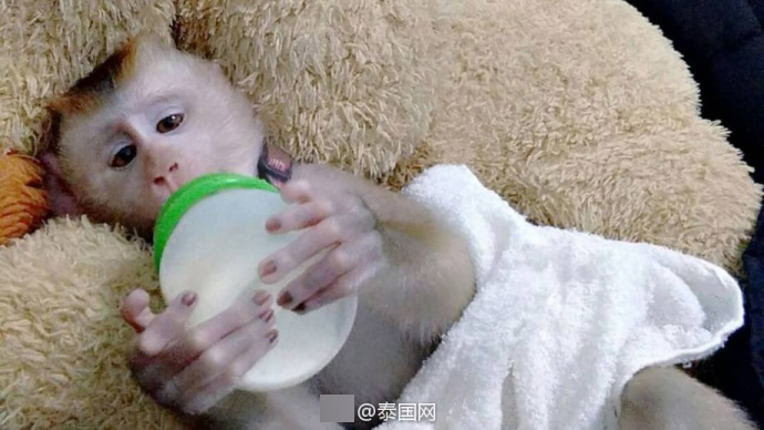美女视频裸体视频免费观看