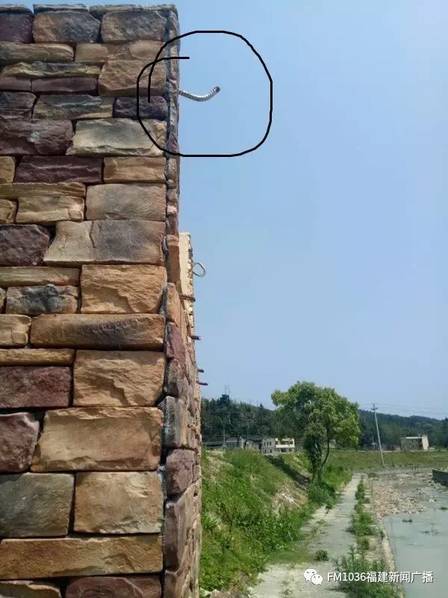 美国大逼Hd