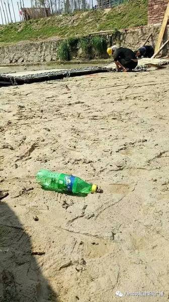 免费高清黄色视频