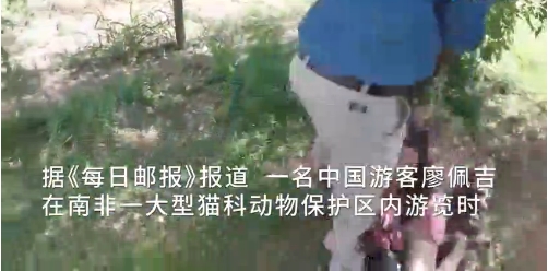 毛茸茸茸BBBBBB毛茸茸电影