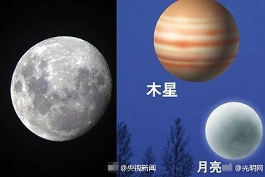 国产一级做a爱片久久毛片a