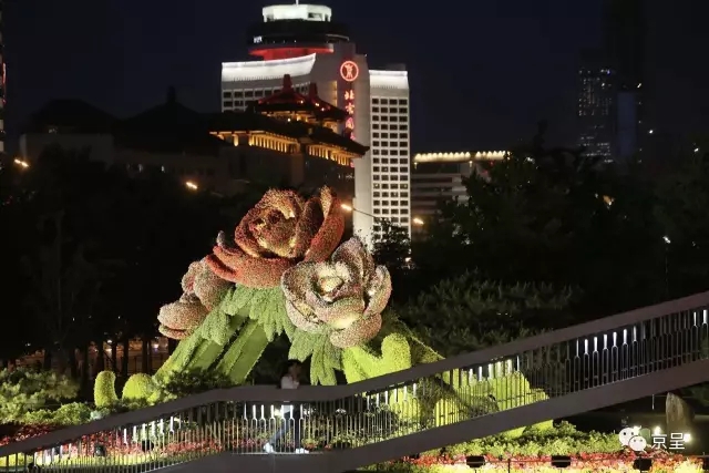 国产精品久久久久久久久久乐趣播