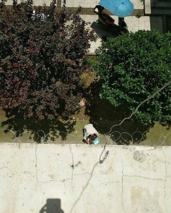 免费看的黄色高清网站