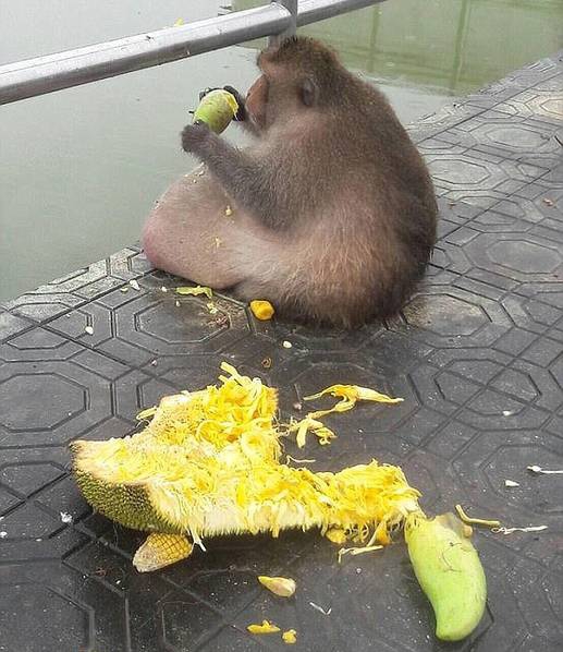 欧美阴道激情影院