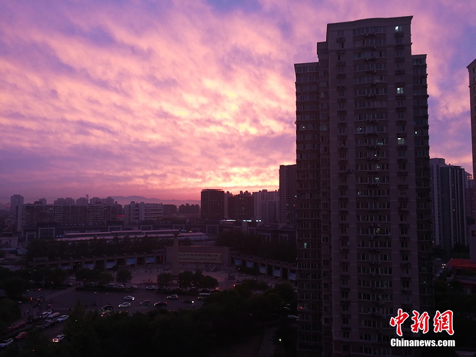 黄色三级三级三级三级片
