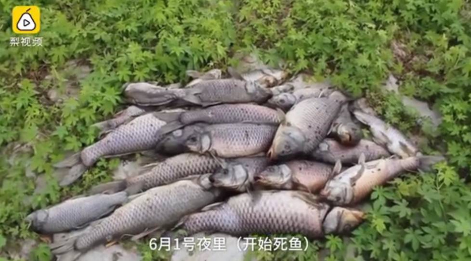 《好好疼爱里面》动漫