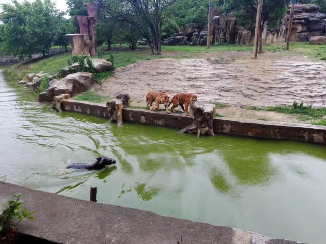 女人扒开腿婬乱A片