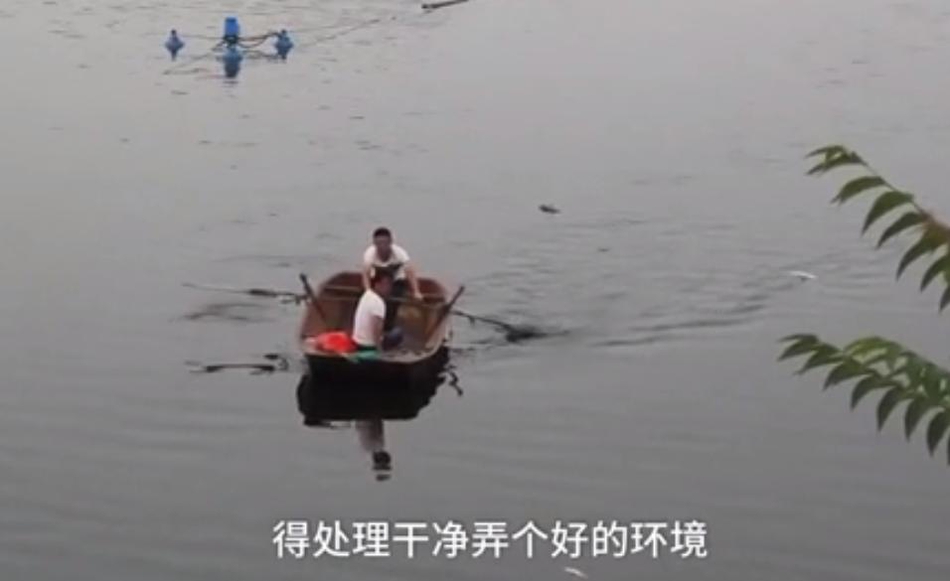 欧美与动交ZoZ0z