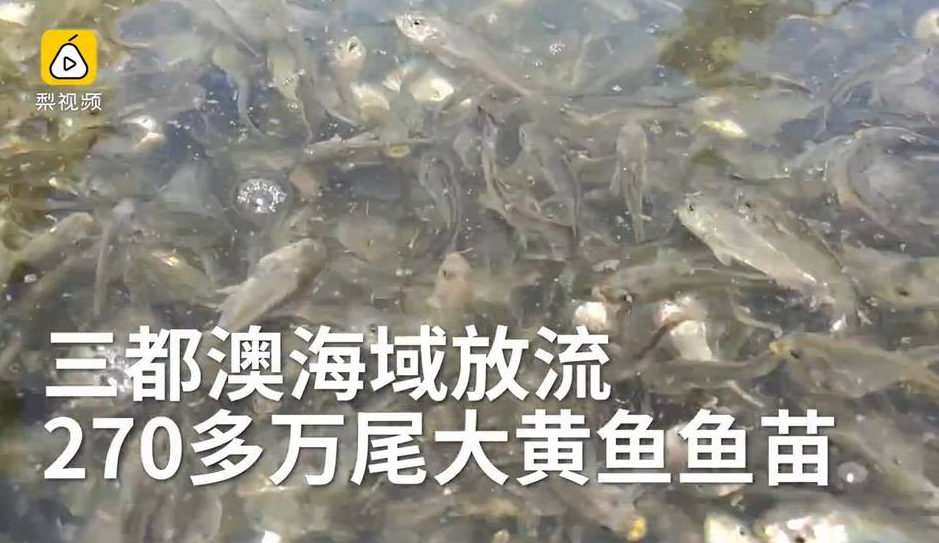 高 质量 成人 网站
