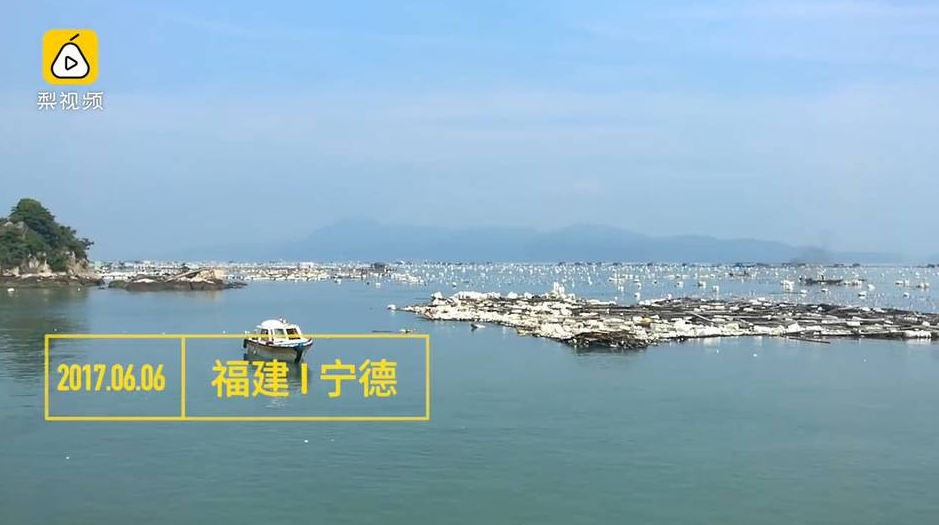 双龙一起入菊痛苦