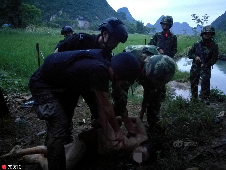 下载三级黄色性生活视频
