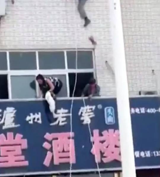 《苏畅我回来了》六部曲