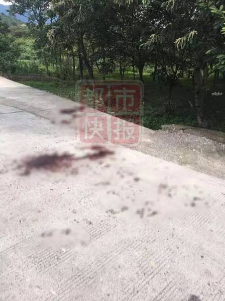 1024看片你懂旧版金沙