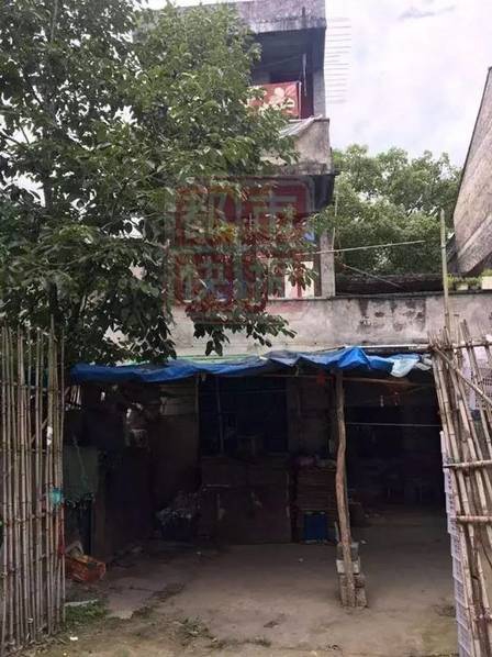 动漫被 羞羞动漫免费