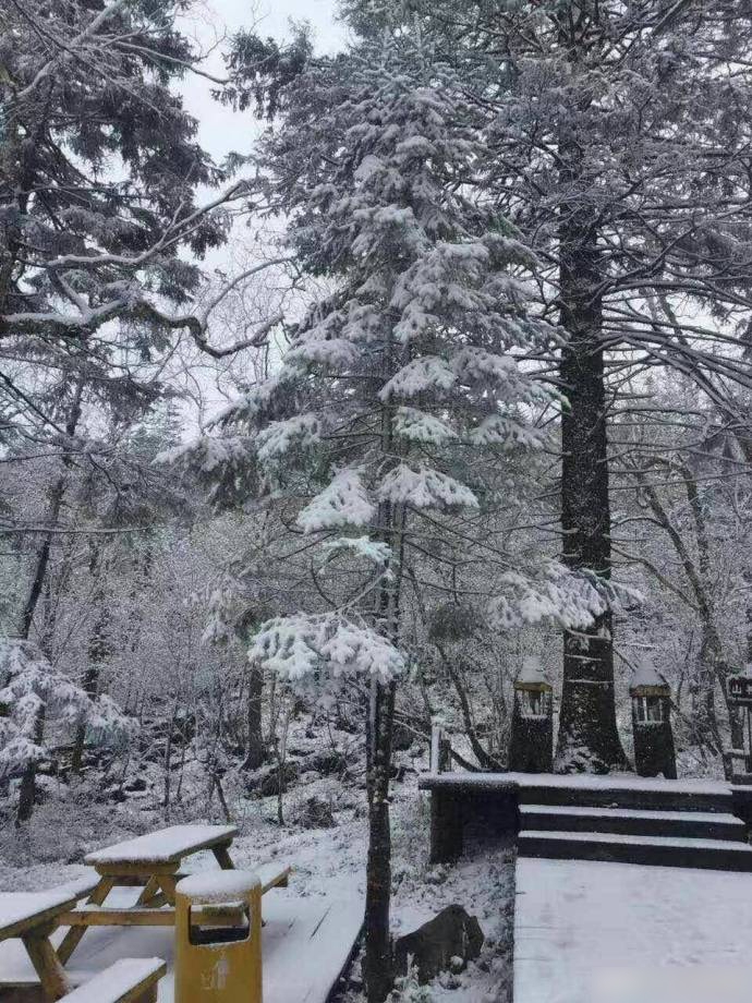 又骚又黄的高清无码视频动漫：：