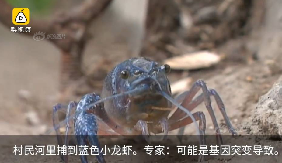 婷激情