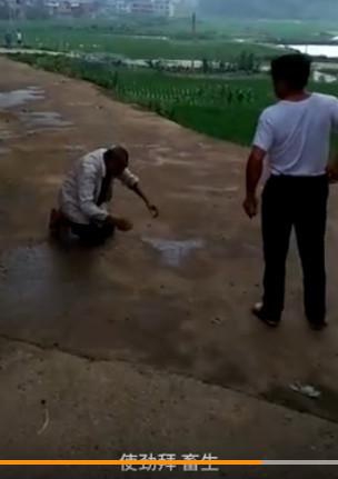 黄色视频那里有时