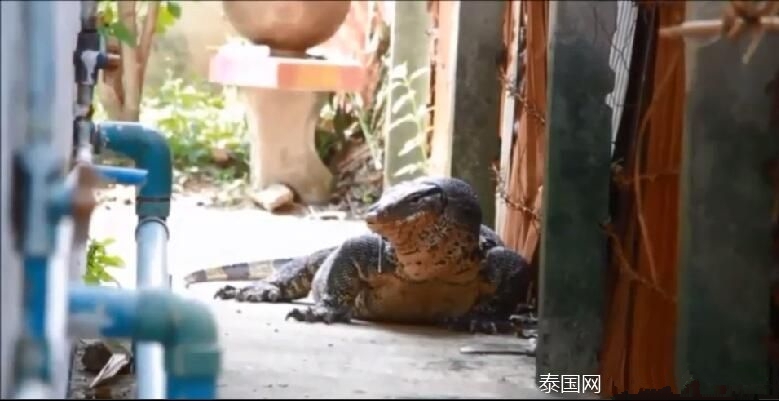 欧美精品成