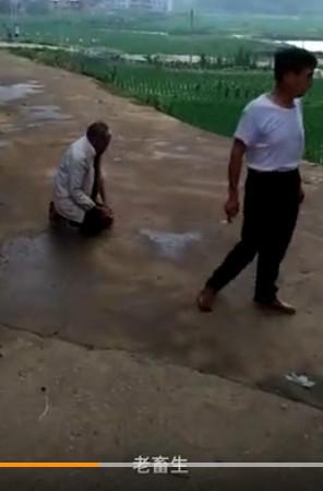 黄 网 大全