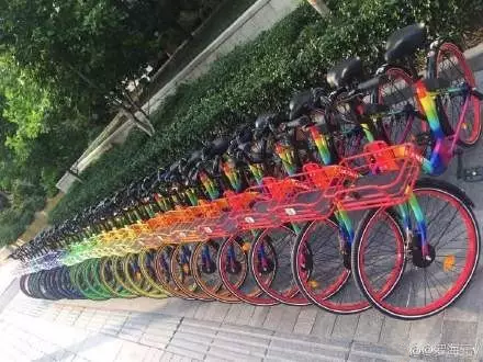 刘涛的比有多大
