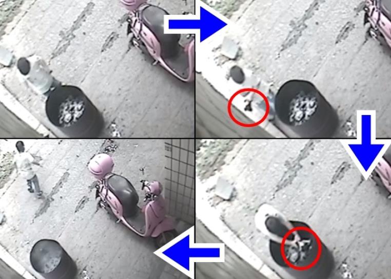 在线 看 成人 电影