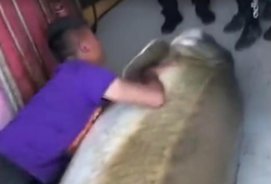 刘亦菲Bx紧水又多