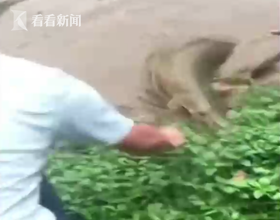 全省首个境外来宾支付服务示范区启用
