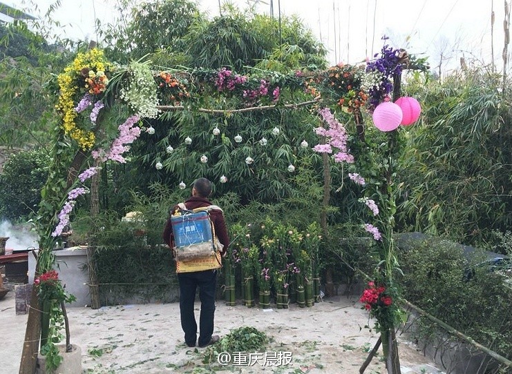 天天摸天天干