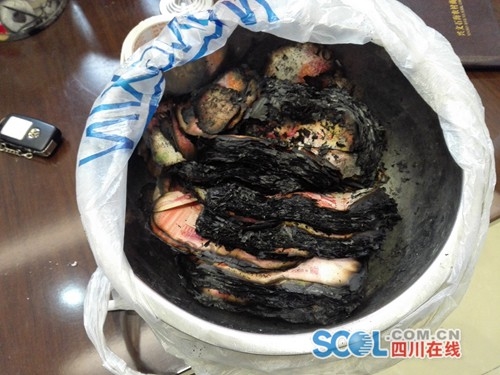 欧美 成人 短 片