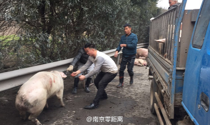 欧美aaa
