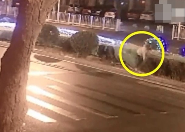 免费网站黄色