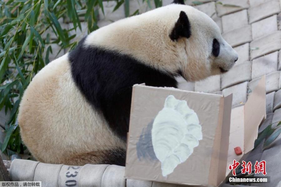 羽庭寫真