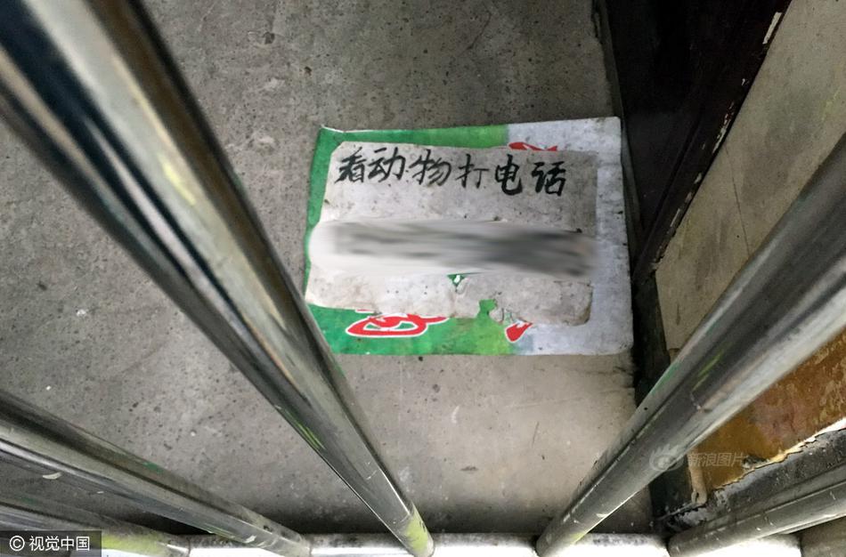 日本久久久久