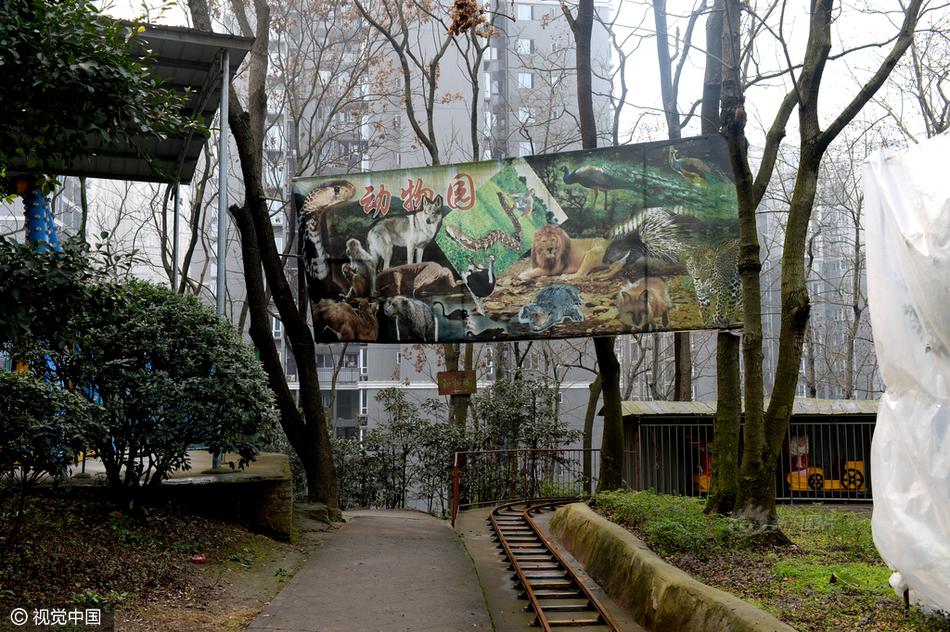 张柏芝生殖裸体图片