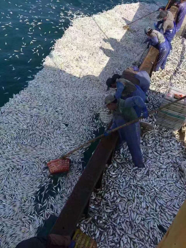 亚洲激情在线